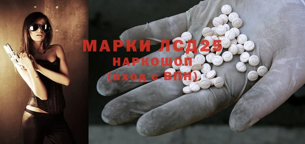 прущие грибы Новый Уренгой