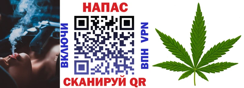 Бошки марихуана сатива Миньяр